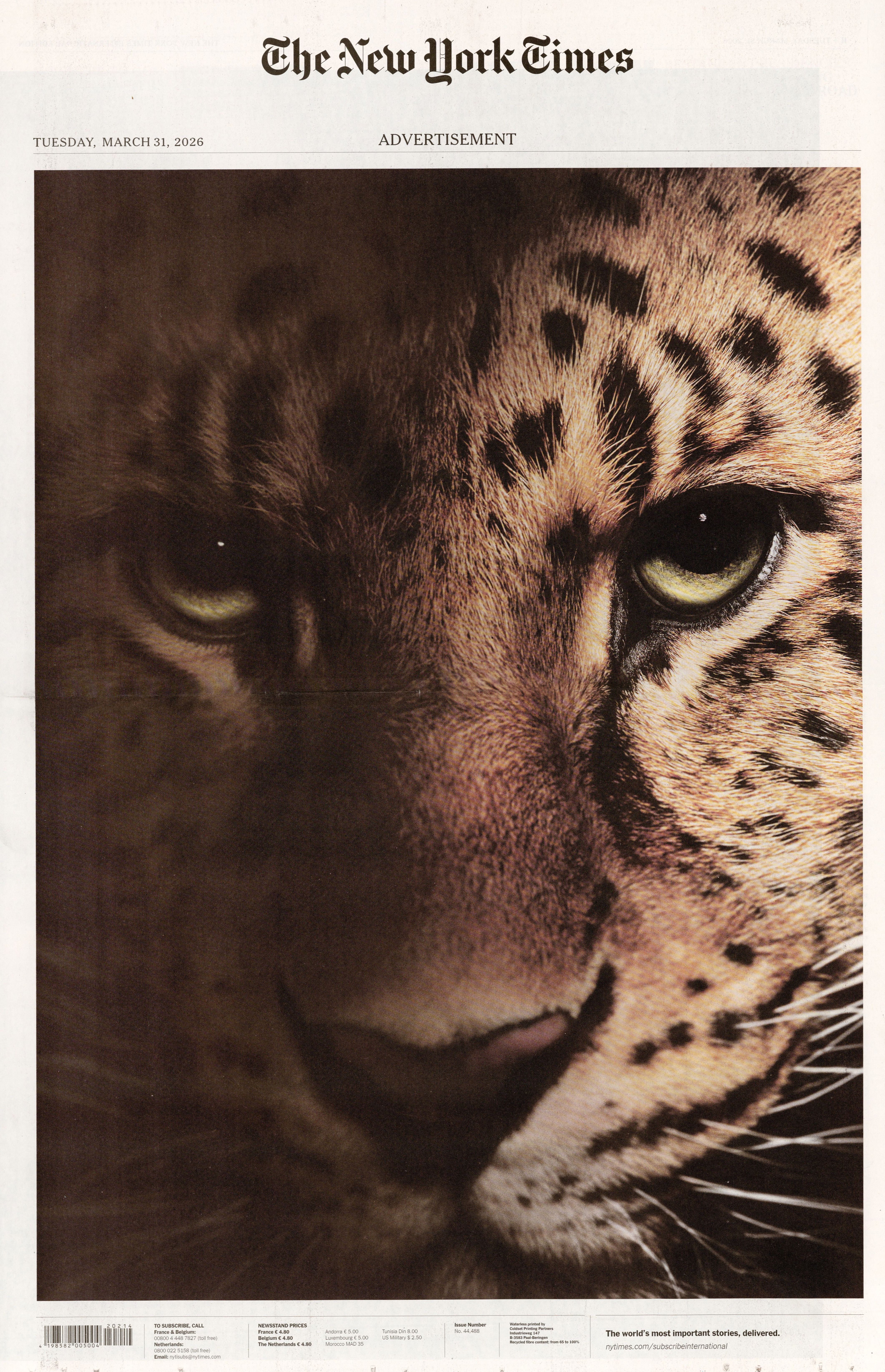 International New York Times -31 Mars 2026 n° 331 2026-03-31